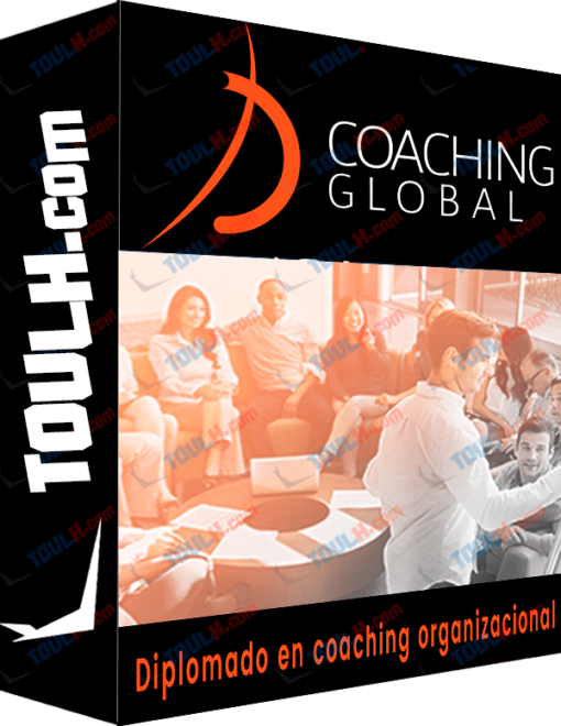 Curso Diplomado en coaching organizacional
