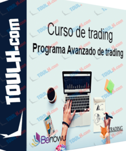 Programa Avanzado de Trading Financiero
