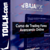 Trading Forex Online