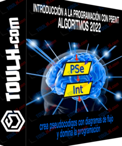 Introducción a la programación con Pseint – Algoritmos 2022