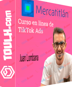 Curso en línea de TikTok Ads