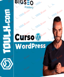 Curso WordPress – BigSeo Academy