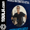 Modelo matematico actual de Nesbrotrader